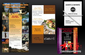 Deanna Fusco平面設計理念與重慶家裝設計師培訓價值探析